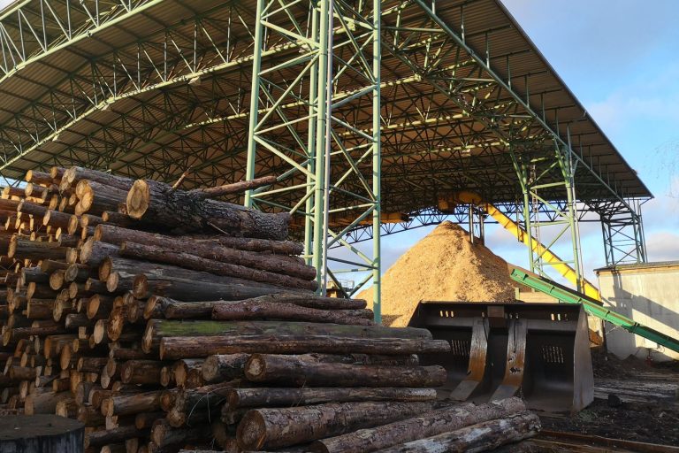 Waldgipfel 2025 von Wohllebens Waldakademie Waldgipfel 2025 von Wohllebens Waldakademie