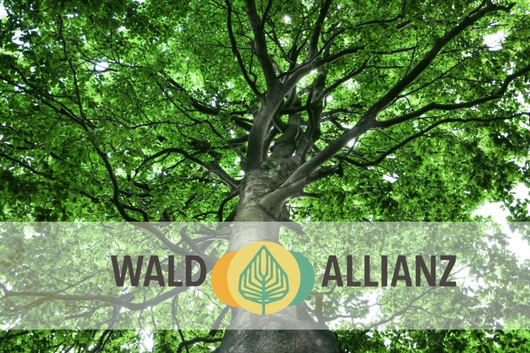1. Tagung der Wald-Allianz im Volkshaus in Meiningen, Vorstellung der Partnerwälder, 27.04.2026, ©Wald-Allianz 1. Tagung der Wald-Allianz im Volkshaus in Meiningen, Vorstellung der Partnerwälder, 27.04.2026, ©Wald-Allianz
