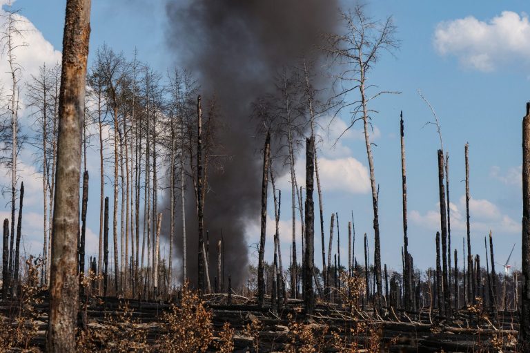 Waldbrandfläche in Treuenbrietzen, Brandenburg, 27.06.2022, Foto: Pierre Ibisch Waldbrandfläche in Treuenbrietzen, Brandenburg, 27.06.2022, Foto: Pierre Ibisch